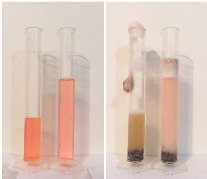 reaction producing foaming oxygen gas bubbles in 2 graduated cylinders