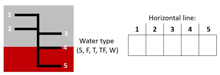 ILL blank with water type table