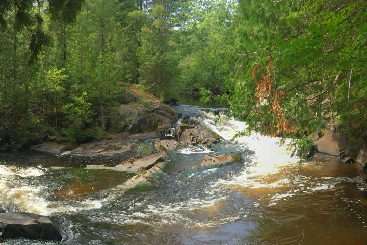 River in northern Wisconsin tinted brown with tannins 