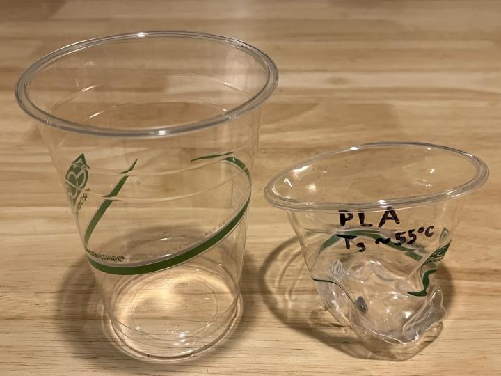 PLA cup before and after heating in boiling water