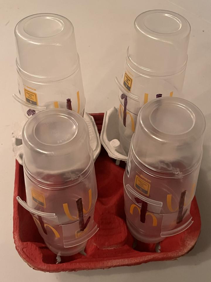 Cup holder arrangements featuring electrons represented by a variety of items