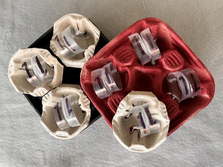 Cup holder and cup bottom arrangements representing valence electrons in methanol and ethene