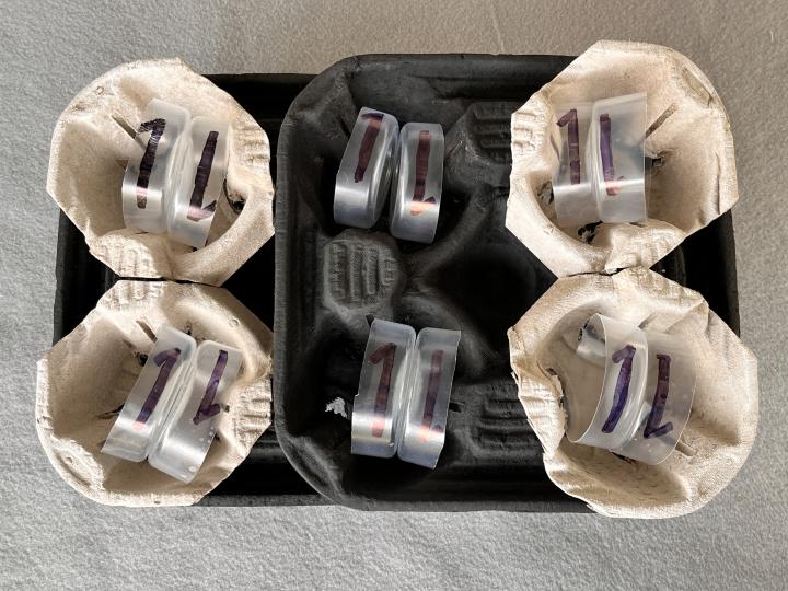 Cup holder and cup bottom arrangements representing valence electrons in methanol and ethene
