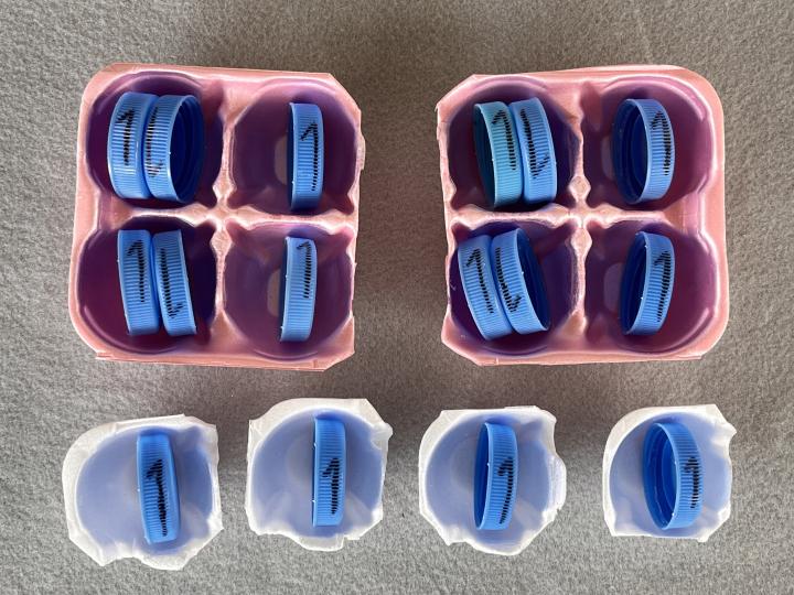 Egg carton tray and milk cap arrangements representing valence electrons in atoms and molecules