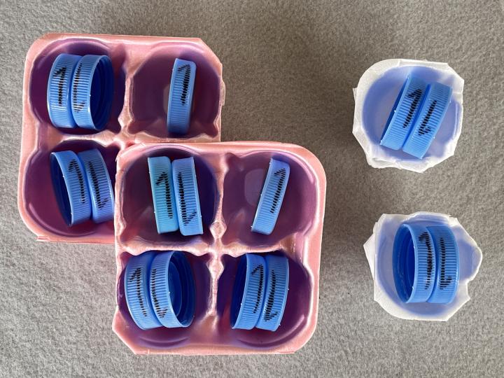 Egg carton tray and milk cap arrangements representing valence electrons in atoms and molecules