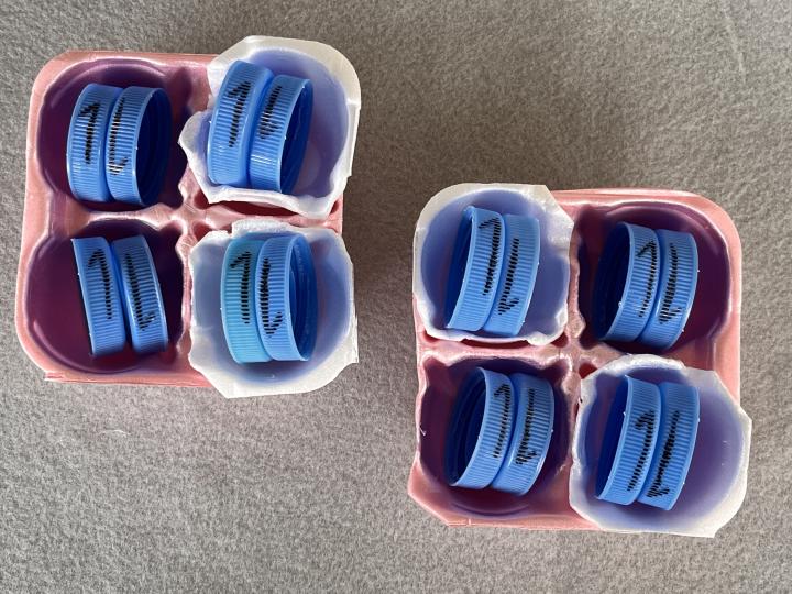 Egg carton tray and milk cap arrangements representing valence electrons in atoms and molecules