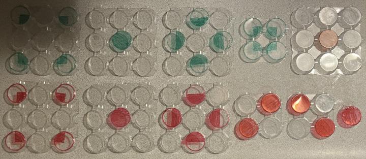 A set of trays that can be used to produce many of the layers in the layer sequences in the models described in this post