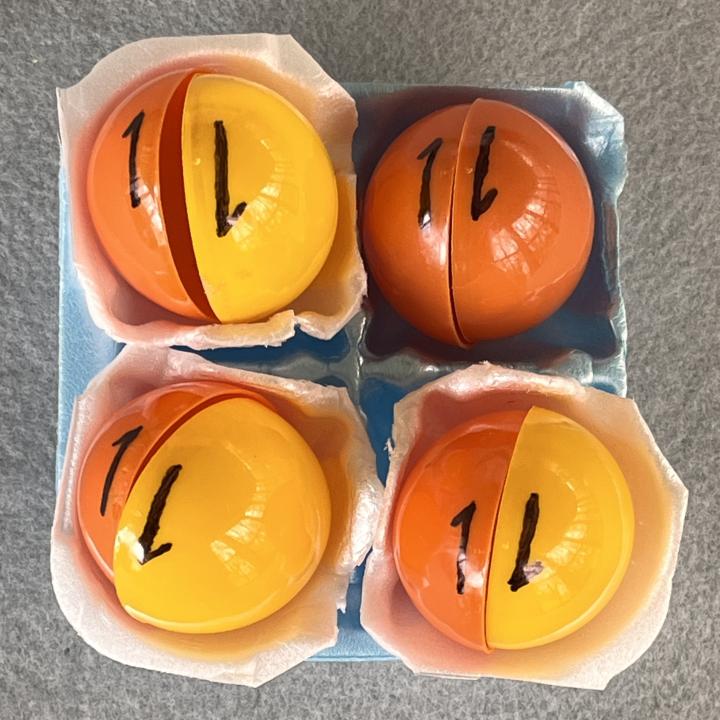 Egg carton tray and plastic egg half arrangements representing valence electrons in an ammonia molecule