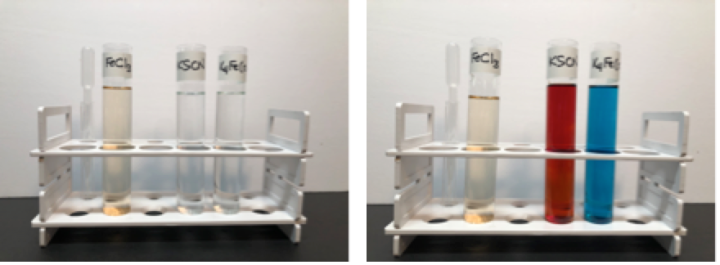 test tubes in a rack with showing resulting colors after reaction with iron chloride
