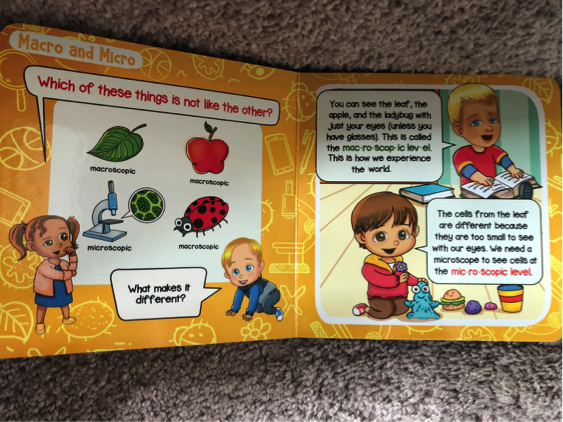 image of open book pages showing macro and micro organization