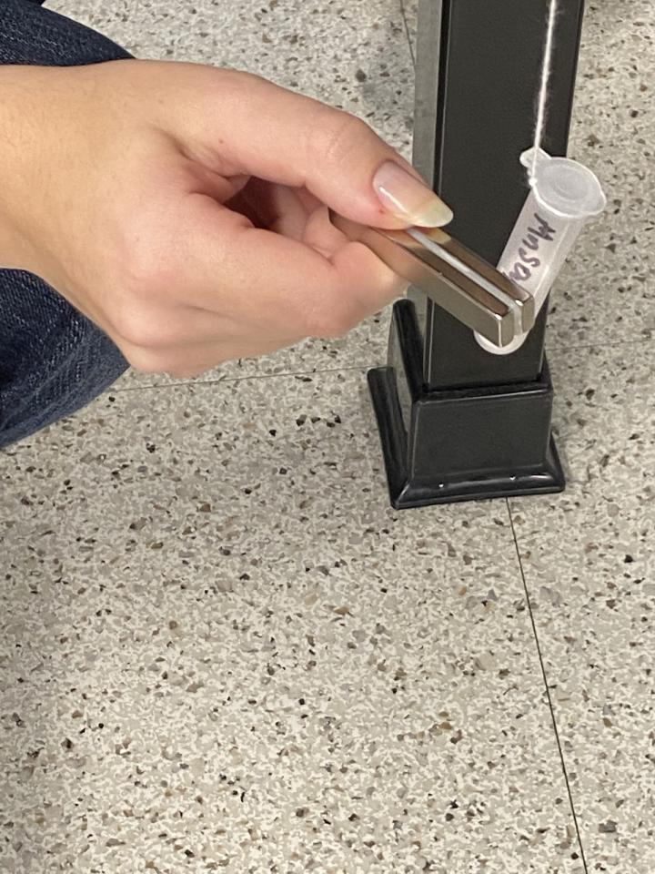 holding a magnet up to test tube to test magnetism