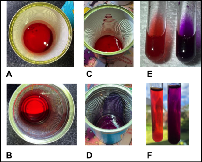 Further experiments with raspberry extracts in discarded cans