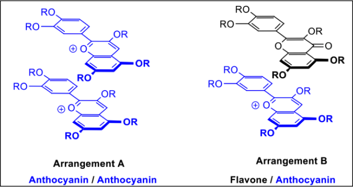 molecular structures showing π stacking arrangements of anthocyanin 