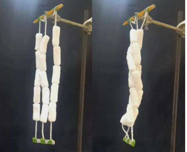 Starch-based packing peanut chain model of solvent welding cellulose fibers