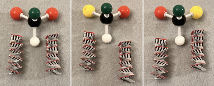 3 paper models of summation of in-phase and out of-phase circularly-polarized light