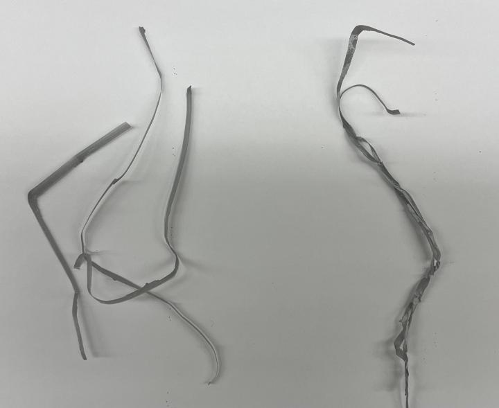 Polylactic acid strand model of solvent welding cellulose fibers.