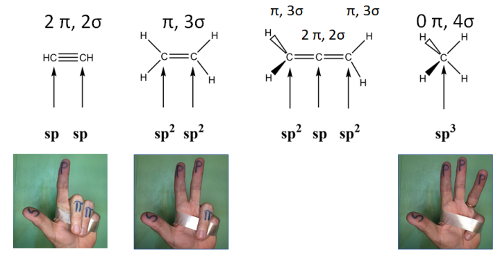 pi bonds in triple and double bonds