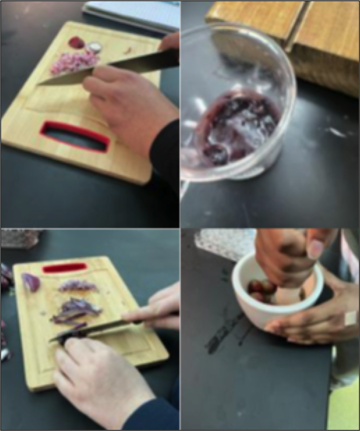 4 pictures of cutting and crushing food items to make indicators