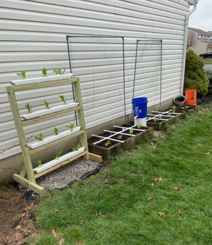 raised bed and hydroponic garden along building wall