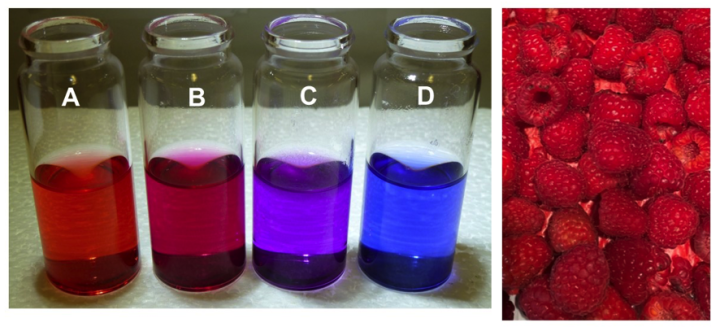 4 vials before and after 24 hours and image of raspberries