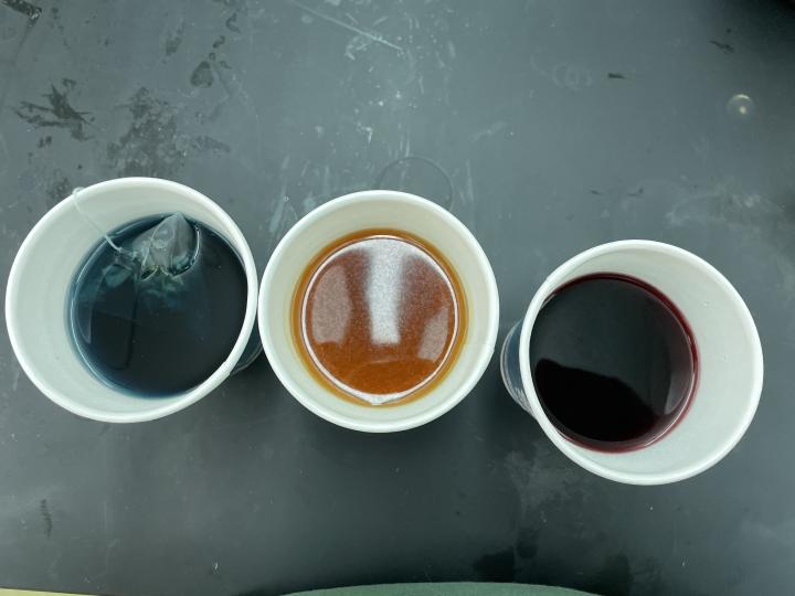 green, yellow and red solutions in styrofoam cups