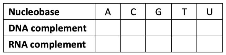 table of nucleobases