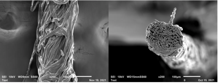 Scanning electron microscope images of cotton yarn 