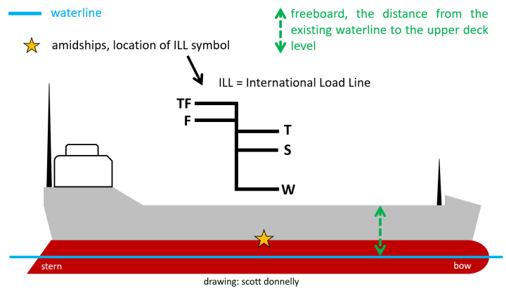 ships anatomy with ILL