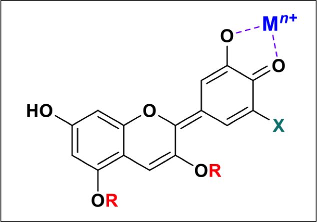 Simplified binding motif for anthocyanins with metal ions - structural molecule