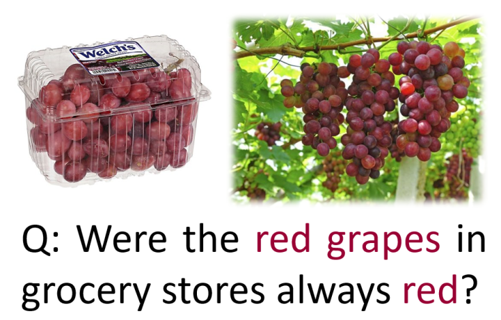 red grapes image