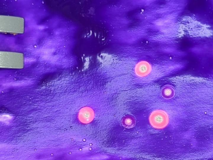 holes and color change in paper created by smashing steel ball bearings