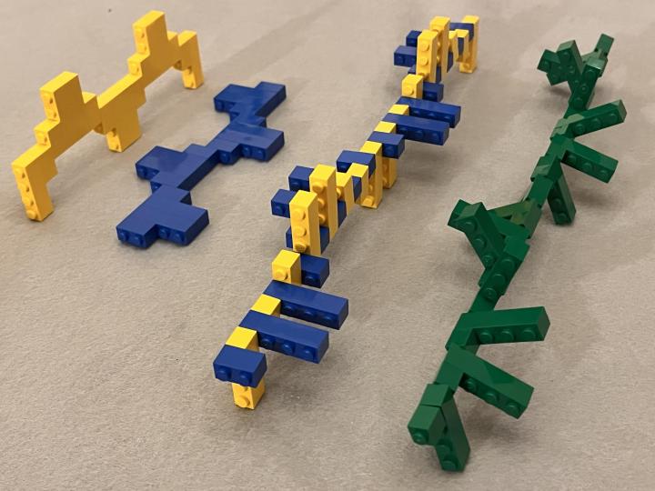LEGO model of summation of light waves at 90-degree angles and out of phase to produce circularly polarized light.