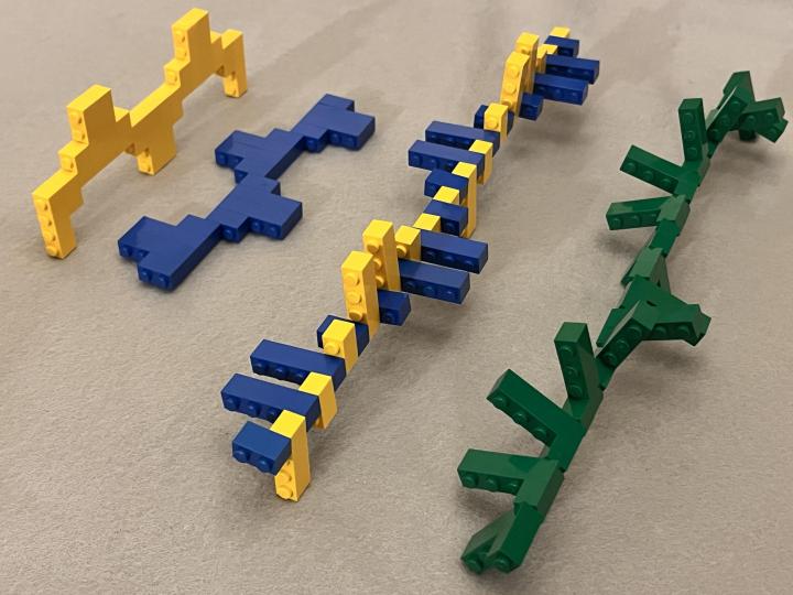 LEGO model of summation of light waves at 90-degree angles and out of phase to produce circularly polarized light.