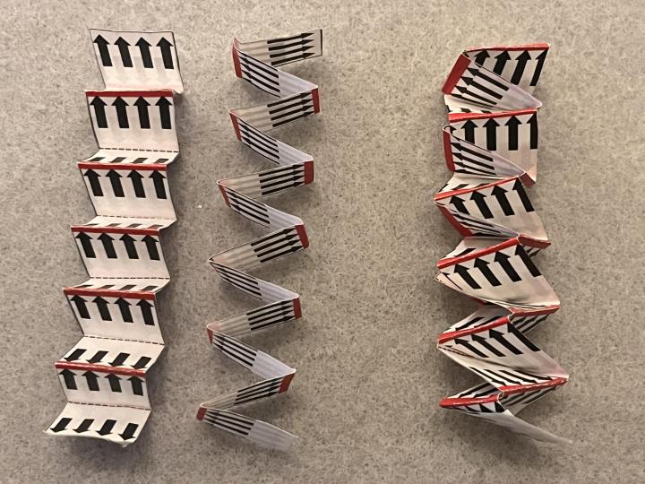 Paper spring model of summation of light waves at 90-degree angles and out of phase to produce circularly polarized light with right-handed rotation.