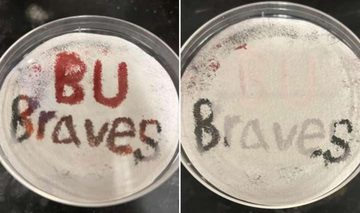 ​​​​Thermochromic powder on filter paper exposed to (LEFT) hydrogen chloride vapor and then (RIGHT) ammonia vapor.