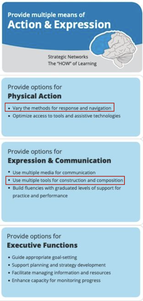 Figure 7: UDL infographic action and expression section with highlighted areas (CAST, 2018)
