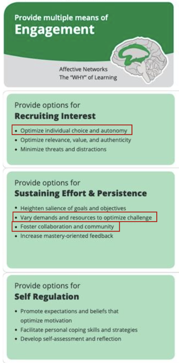UDL Infographic Engagement section with highlighted areas (CAST 2018).&nbsp;Universal Design for Learning Guidelines version 2.2. Retrieved from http://udlguidelines.cast.org