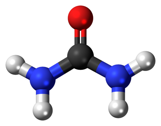 ball and stick structure of urea