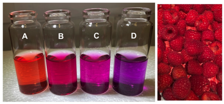 4 vials of raspberry extracts &amp; raspberries