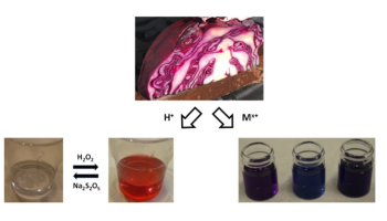 cabbage juice indicator use