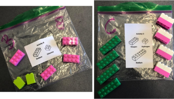 mix of pink and green legos in two baggies