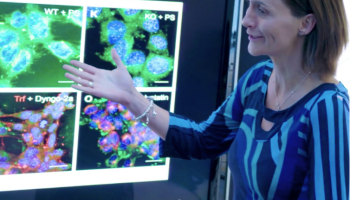 C Allerton considering a colleagues research