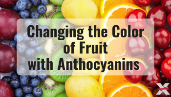 text: "Changing the Colour of Whole Fruits!' over colorful fruit