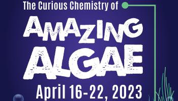 2023-ccew-instagram-post