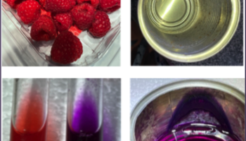 collage of raspberries, colored solution in test tubes and inside of soup cans