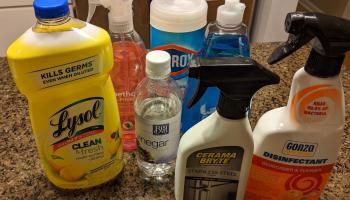 assorted containers of household cleaning products