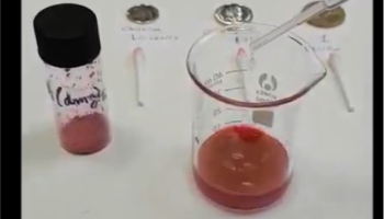 still image from video of a reaction taking place between Ni ion and DMG