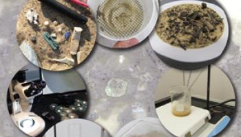 February 2019 Cover of the Journal of Chemical Education