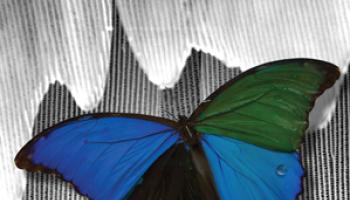 June 2018 cover of JCE