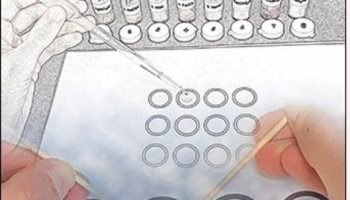 JCE cove for May 2019